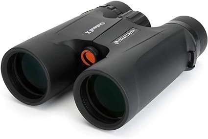 best binoculars under 100